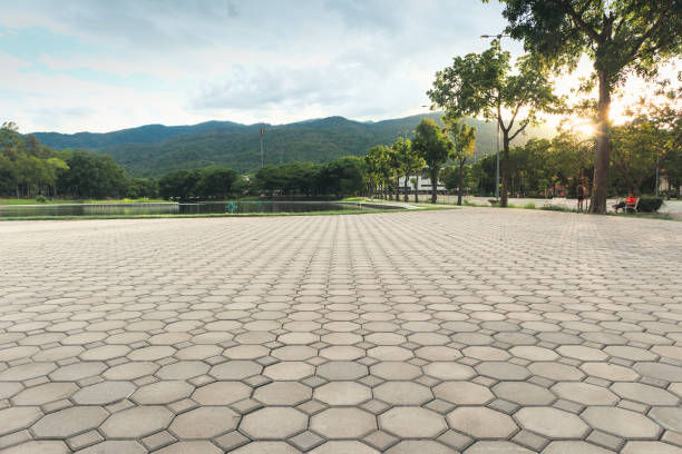 Best Residential Paver Driveway  in Highland Village, TX